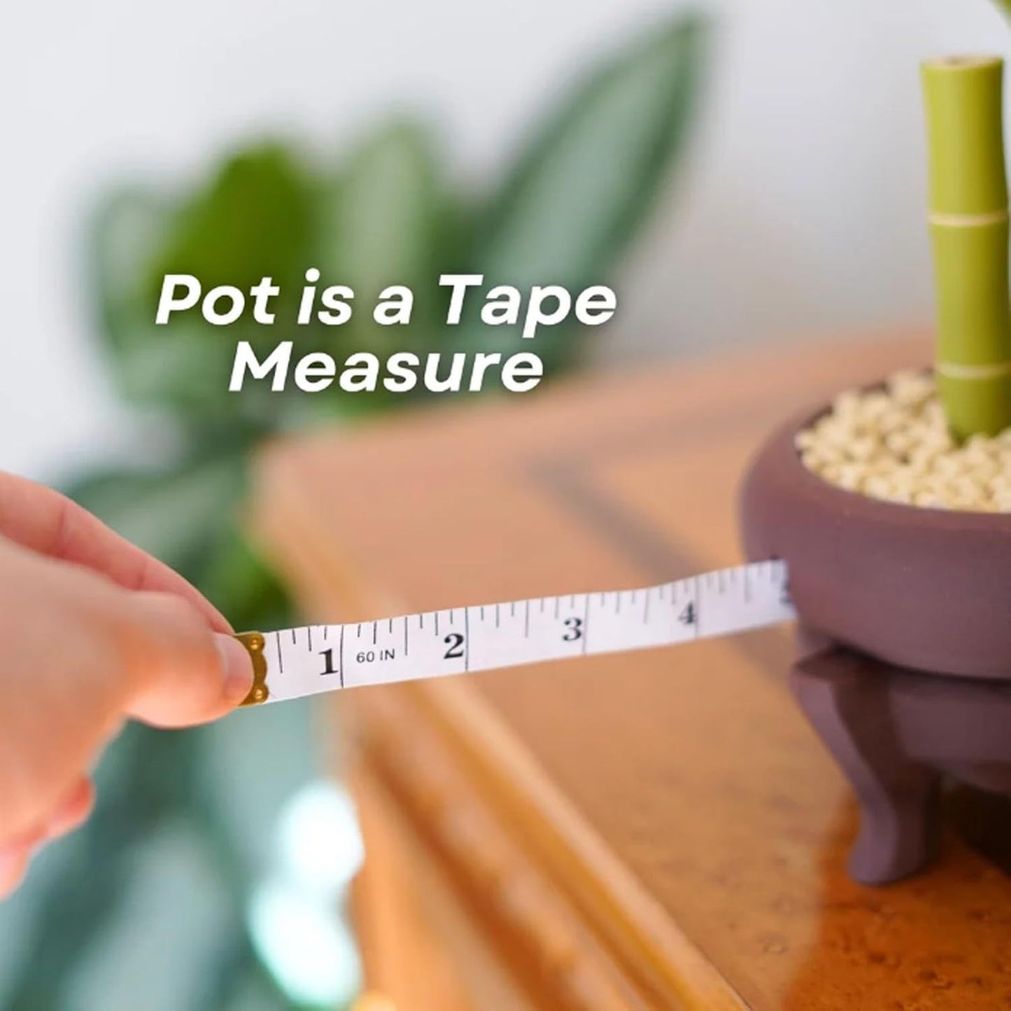 Bamboo Bits - Toolbox on your Table - Screwdriver, Tape measure, Tool Storage