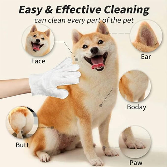 Pet Glove Wipes for Dogs & Cats 6PCS*3