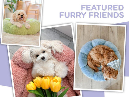 Flower Donut Round Fluffy Puppy Bed