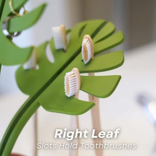 Mirror Monstera - Bathroom Organizer that Mounts to the Mirror