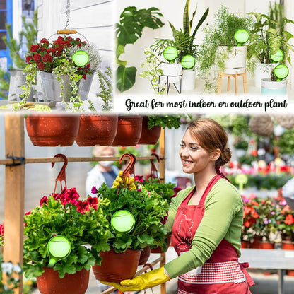 Plant Watering Bulbs – Self-Watering Globes for Easy Plant Care, Indoor & Outdoor Use